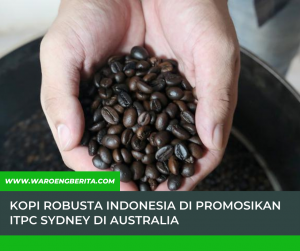 Kopi Robusta Indonesia Di Promosikan ITPC Sydney Di Australia