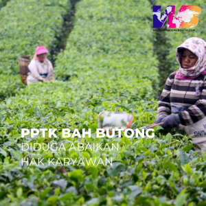 PPTK Bah Butong Diduga Abaikan Hak Karyawan