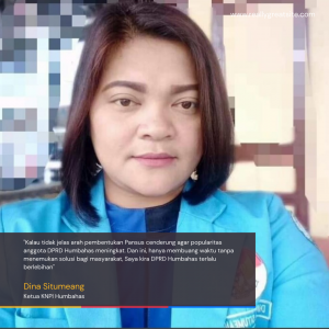 Ketua KNPI Humbahas Dina Situmeang Menilai Dibentuknya Pansus  Penggunaan Dana Covid 19 Oleh DPRD Humbahas Berlebihan