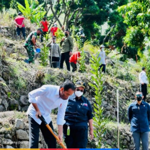 Presiden Jokowi Tanam Pohon Bersama Masyarakat dan Berikan Sk Hutan Sosial &TORA di Humbahas