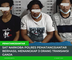 Sat Narkoba Polres Pematangsiantar Berhasil Menangkap 3 Orang Transaksi Ganja