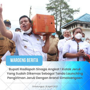 Bupati Simalungun Hadiri Launching Pengiriman Jeruk Dengan Brand Simaloengoen Yang Akan Dikirim Keluar Sumatera