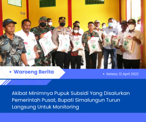 Akibat Minimnya Pupuk Subsidi Yang Disalurkan Pemerintah Pusat, Bupati Simalungun Turun Langsung Untuk Monitoring