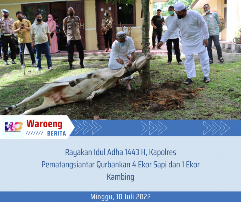 Rayakan Idul Adha 1443 H, Kapolres Pematangsiantar Qurbankan 4 Ekor Sapi dan 1 Ekor Kambing