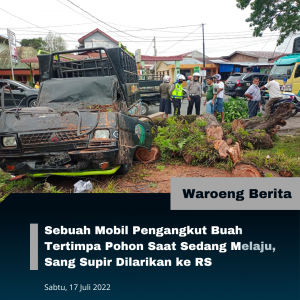 Sebuah Mobil Pengangkut Buah Tertimpa Pohon Saat Sedang Melaju, Sang Supir Dilarikan ke RS