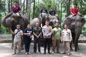 Jumlah Wisatawan Meningkat, Kapolres Simalungun Pantau Langsung Taman Wisata Aek Nauli Elephant Conservtion Camp