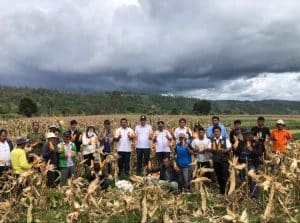 Panen Jagung Bersama Poktan Pea Sigaol di Lintongnihuta, Bupati Humbahas Minta Pertanian Jagung Dilakukan Berkelanjutan