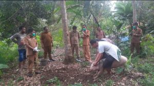Penyakit ASF Menyerang Ternak Babi di Humbahas, Dinas Peternakan dan Perikanan Humbahas Lakukan Penyemprotan