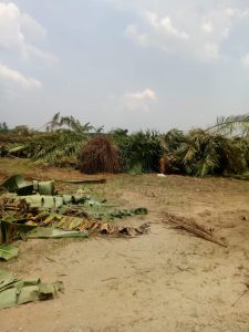 Derita Kelompok Tani Perjuangan Pasar 6,7 Desa Bulu Cina Atas Kesewenangan PTPN II