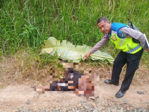 Personel Polsek Perdagangan Evakuasi Jenazah Korban Tertabrak Kereta Api