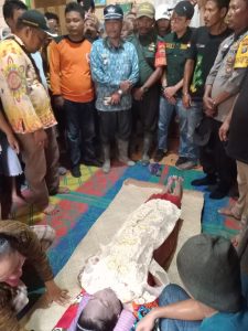 Nelayan diterkam buaya