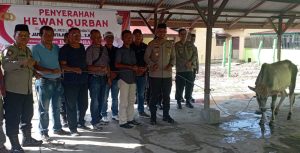 Polres Labuhanbatu Serahkan 2 Sapi Kurban Kepada Al Uois Dan Wartawan