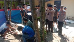 Idul Adha H 2023, Polres Labuhanbatu Sembelih 29 Ekor Sapi Qurban