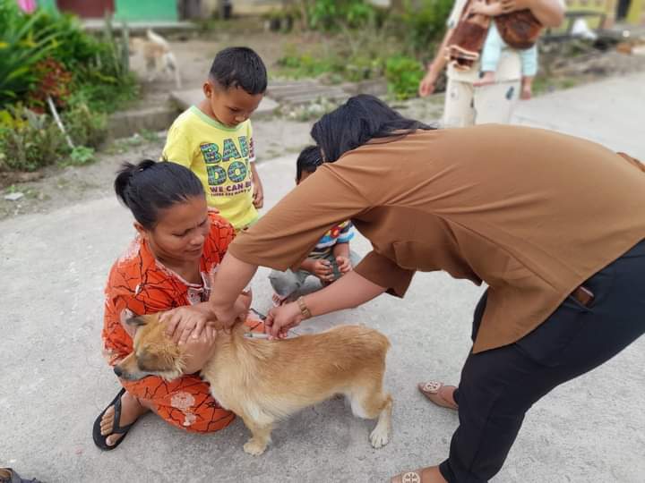DISTAN KPP Dairi Ingatkan Masyarakat Segera Vaksinasi Anjing Cegah Rabies