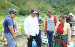 Alokasi Pupuk Bersubsidi di Kabupaten Samosir Naik