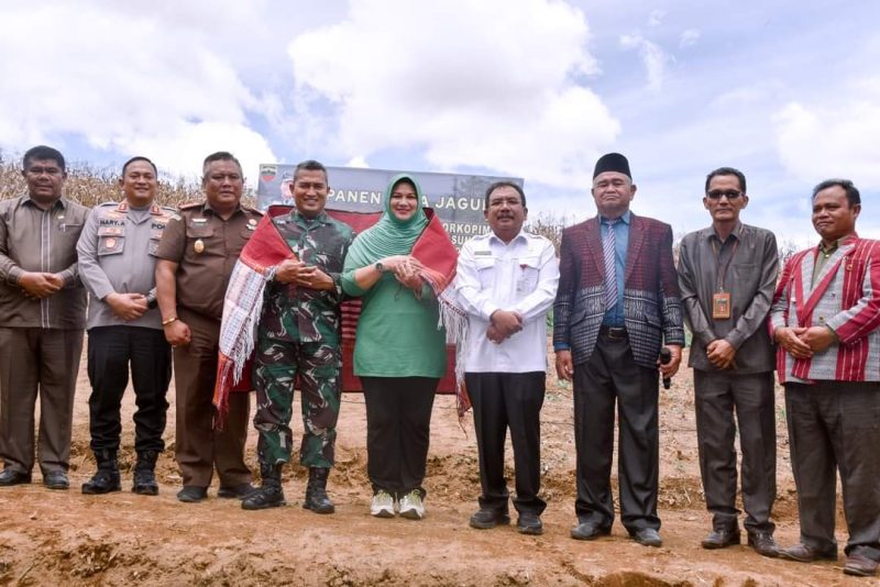 Gelar Panen Raya , Danrem 023/KS dengan Forkopimda Humbahas