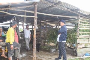 Bupati Humbahas Kunjungi Poktan di Pollung