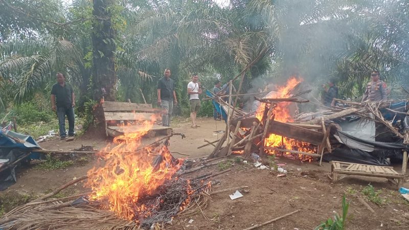Komitmen Perangi Narkotika, Polsek Bersama Camat Kualuh Hulu Bakar Gubuk Transaksi Narkoba