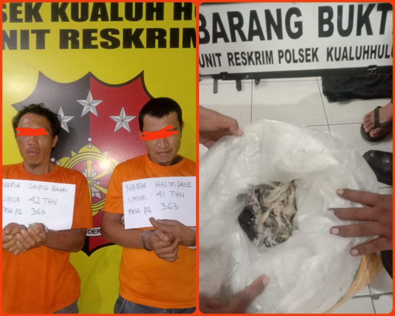 Reskrim Polsek Kualuh Hulu Ringkus 2 Pencuri Sarang Burung Walet