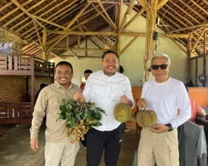 Bupati Pakpak Bharat Kunjungi Kebun Durian Milik Masyarakat di Cikadang