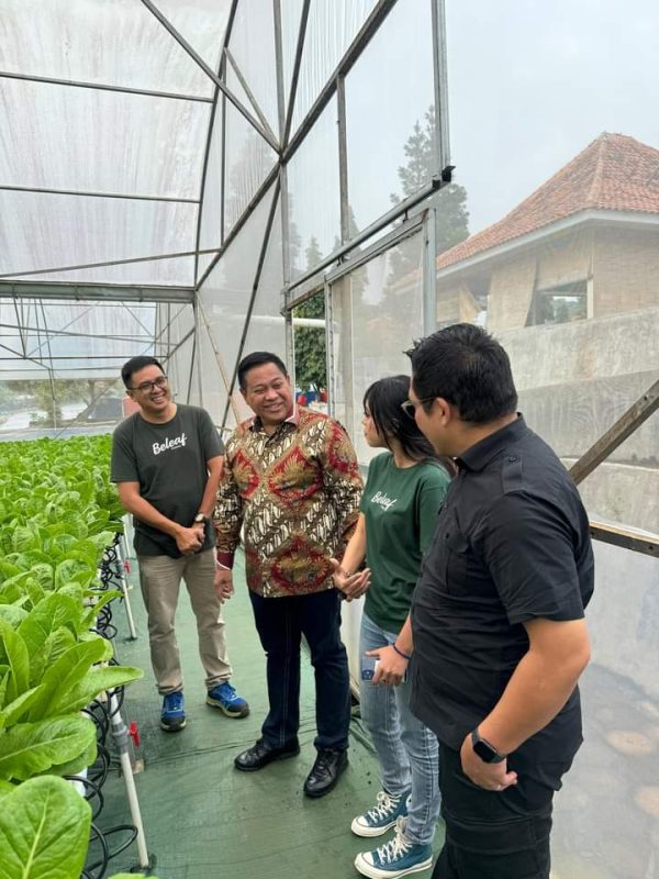 Bupati Eddy Berutu Kunjungi Beleaf Farms Meraki di Cianjur