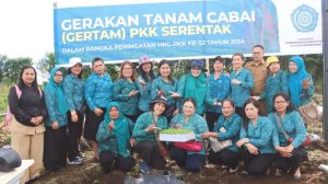 Gertam PKK, TP PKK Dairi Tanam 2000 Batang Cabai 