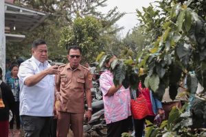 Bupati Eddy Berutu Ajak Petani Parbuluan Mulai Masuki Sektor Hilir