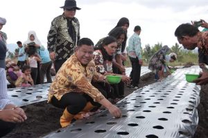 Proyek HDDAP Segera Bergulir di Dairi, 606 Ha Lahan Disiapkan
