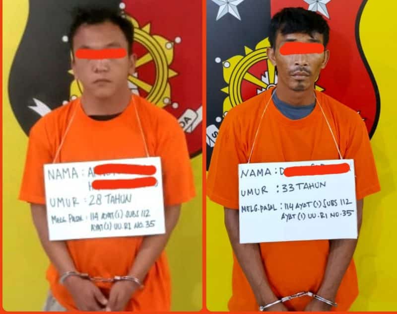 Polsek Kualuh Hulu Kembali Ringkus Dua Pengedar Narkoba