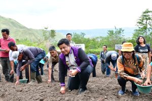Bupati Vandiko Tanam Bawang Bersama Poktan Desa Hariara Pohan