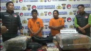 Tim Satres Narkoba Ringkus 2 Bandar Narkotika, 13 Kg Daun Ganja Disita