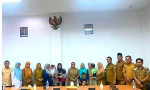 Plt Bupati Labuhanbatu Ikut Rapat Penanganan Stunting Serentak se-Sumut