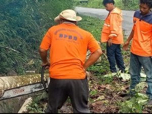BPBD Kabupaten Pakpak Bharat Gotong Royong Bersihkan Bahu Jalan Bersama Masyarakat Desa Pardomuan