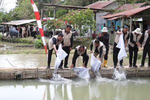 FBT Tabur Bibit Ikan Lele di Desa Kecupak