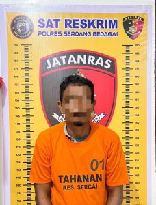 Tak Butuh Waktu Lama Polres Sergai Ringkus Pelaku Penusukan Seorang Petani