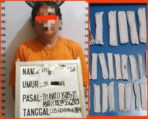Bekuk Pengedar Narkoba di Bilah Hulu, Polisi Amankan 29 Bungkus Daun Ganja Siap Edar