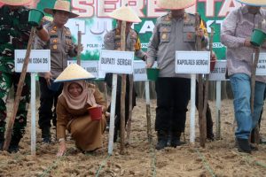 Pemkab Sergai Beri Dukungan Penuh Program Penanaman Jagung 1 Juta Hektar