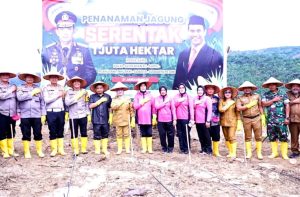 Launching Penanaman Jagung Serentak, Pemkab Labuhanbatu Dukung Program Strategis Nasional Presiden RI