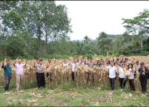 Sekda Pakpak Bharat Mengikuti Panen Raya Jagung Tahap I Gugus Tugas Polri Swasembada Pangan Nasional