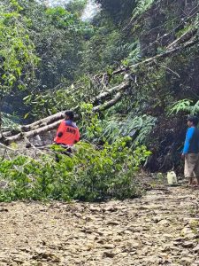 BPBD Pakpak Bharat Normalisasi Jalan Salak-Pagindar Akibat Terputus oleh Kayu Tumbang
