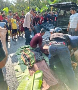 Polsek Marbau Gerak Cepat Evakuasi Korban Tertimpa Pohon Tumbang