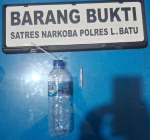 Satresnarkoba Polres Labuhanbatu Ciduk Residivis Saat Asyik Nikmati Sabu di Dalam Kamar