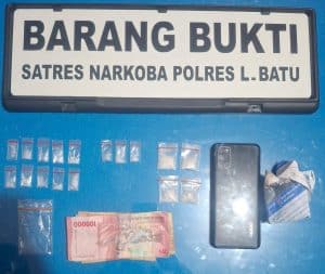 Satres Narkoba Polres Labuhanbatu Ringkus Pengedar Sabu di Jalan Nenas