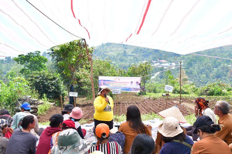 Pemkab Samosir Gelar Penanaman Padi Gogo di Sitaotao untuk Perkuat Swasembada Pangan