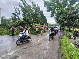 Polres Labuhanbatu Terjunkan Patroli Pengurai Kemacetan Akibat Pohon Tumbang
