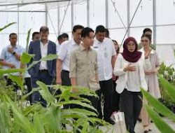 Bupati Vandiko Sambut Kedatangan Wapres Gibran saat Tinjau TSTH2 di Kabupaten Humbahas