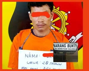 Polsek Kualuh Hulu Ringkus 1 Pelaku Pencurian dengan Kekerasan Terhadap Sopir di Labura