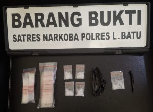 Satresnarkoba Polres Labuhanbatu Tangkap Dua Pengedar Sabu di Panai Hulu