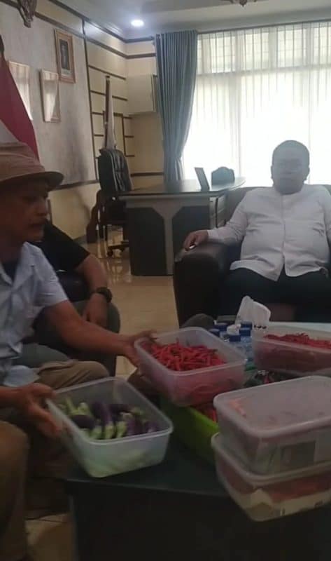 Dukung Program Ketahanan Pangan, Wali Kota Pematangsiantar Tunjukkan Panen Rumah Dinas kepada Wartawan