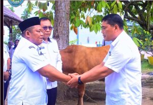 Wabup Labuhanbatu Serahkan 1 Ekor Sapi Kurban Dari Gubsu Kepada Lapas Kelas llA Rantauprapat
